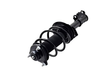 Suspension Strut and Coil Spring Assembly