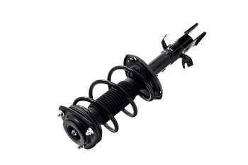 Suspension Strut and Coil Spring Assembly