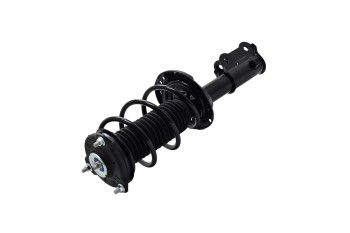 Suspension Strut and Coil Spring Assembly