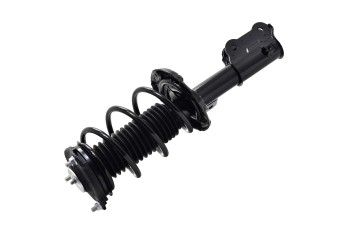Suspension Strut and Coil Spring Assembly