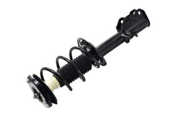 Suspension Strut and Coil Spring Assembly