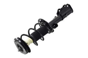 Suspension Strut and Coil Spring Assembly