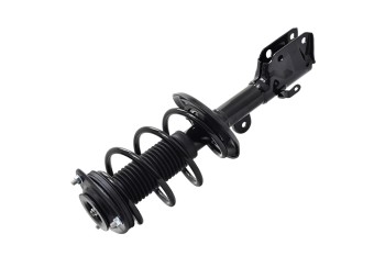 Suspension Strut and Coil Spring Assembly