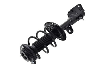 Suspension Strut and Coil Spring Assembly
