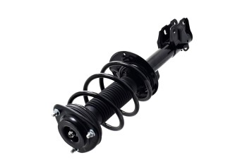 Suspension Strut and Coil Spring Assembly