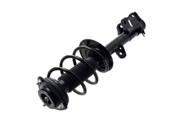 Suspension Strut and Coil Spring Assembly