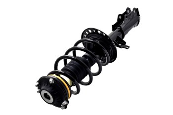 Suspension Strut and Coil Spring Assembly