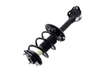 Suspension Strut and Coil Spring Assembly