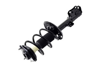 Suspension Strut and Coil Spring Assembly
