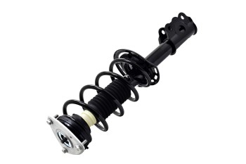 Suspension Strut and Coil Spring Assembly
