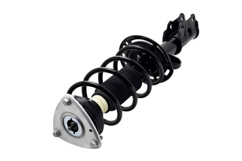 Suspension Strut and Coil Spring Assembly