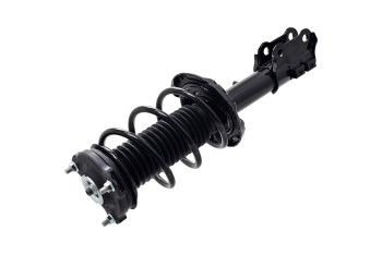 Suspension Strut and Coil Spring Assembly