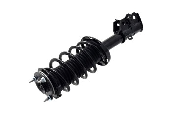 Suspension Strut and Coil Spring Assembly