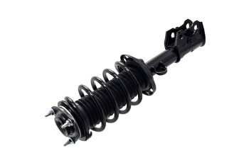 Suspension Strut and Coil Spring Assembly