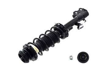 Suspension Strut and Coil Spring Assembly