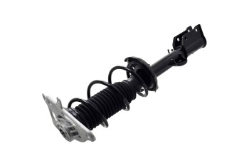 Suspension Strut and Coil Spring Assembly