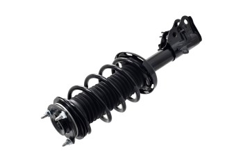 Suspension Strut and Coil Spring Assembly