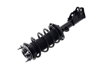Suspension Strut and Coil Spring Assembly