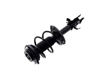 Suspension Strut and Coil Spring Assembly