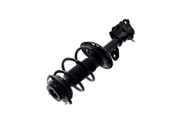 Suspension Strut and Coil Spring Assembly