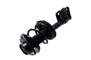 Suspension Strut and Coil Spring Assembly