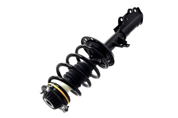 Suspension Strut and Coil Spring Assembly