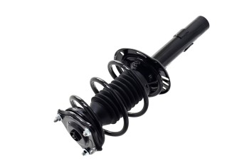 Suspension Strut and Coil Spring Assembly