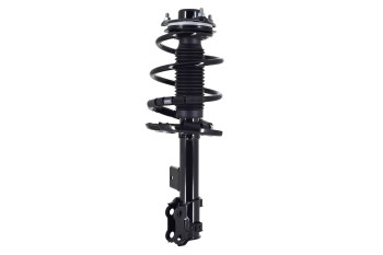 Suspension Strut and Coil Spring Assembly