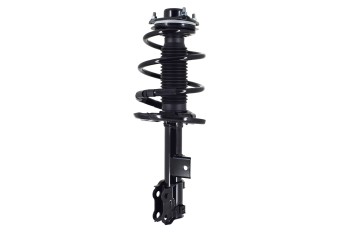 Suspension Strut and Coil Spring Assembly