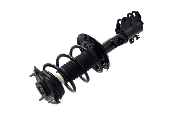 Suspension Strut and Coil Spring Assembly