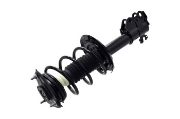 Suspension Strut and Coil Spring Assembly