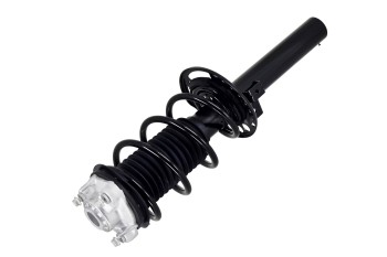 Suspension Strut and Coil Spring Assembly