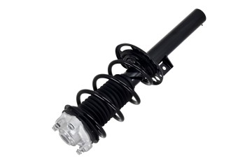 Suspension Strut and Coil Spring Assembly