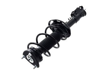 Suspension Strut and Coil Spring Assembly