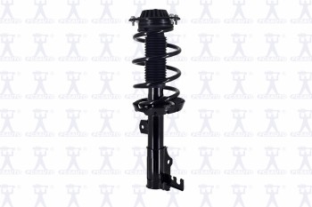 Suspension Strut and Coil Spring Assembly
