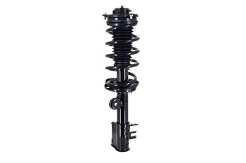 Suspension Strut and Coil Spring Assembly