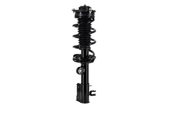 Suspension Strut and Coil Spring Assembly