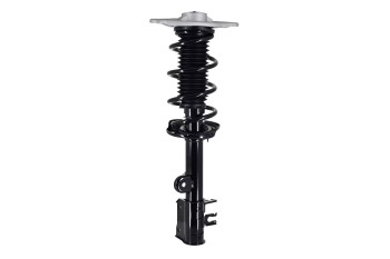 Suspension Strut and Coil Spring Assembly