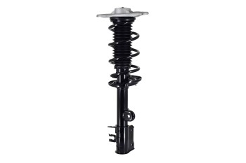 Suspension Strut and Coil Spring Assembly