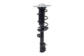 Suspension Strut and Coil Spring Assembly