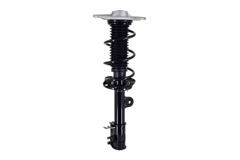 Suspension Strut and Coil Spring Assembly