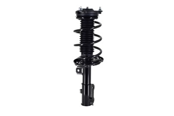 Suspension Strut and Coil Spring Assembly