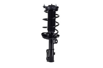 Suspension Strut and Coil Spring Assembly