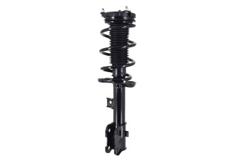 Suspension Strut and Coil Spring Assembly