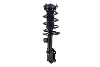 Suspension Strut and Coil Spring Assembly