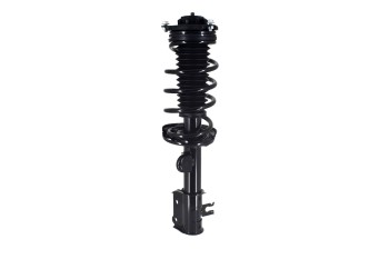 Suspension Strut and Coil Spring Assembly