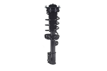 Suspension Strut and Coil Spring Assembly
