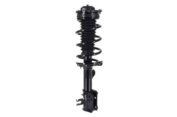 Suspension Strut and Coil Spring Assembly