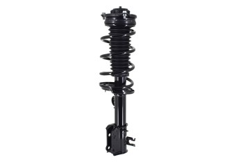 Suspension Strut and Coil Spring Assembly