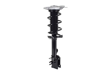 Suspension Strut and Coil Spring Assembly
